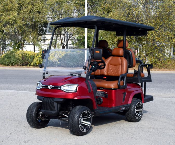 Carro de golf electrico / Zycar 4 puestos
