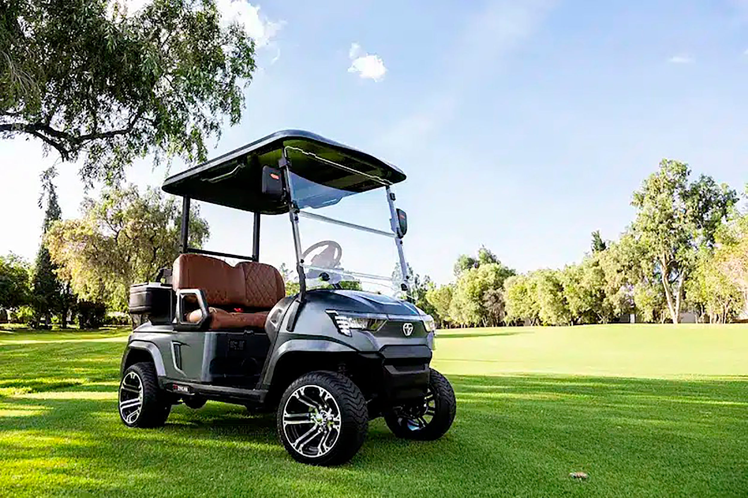 Carro de golf electrico / Zycar 2 puestos