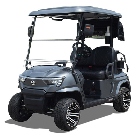 Carro de golf electrico / Zycar 2 puestos